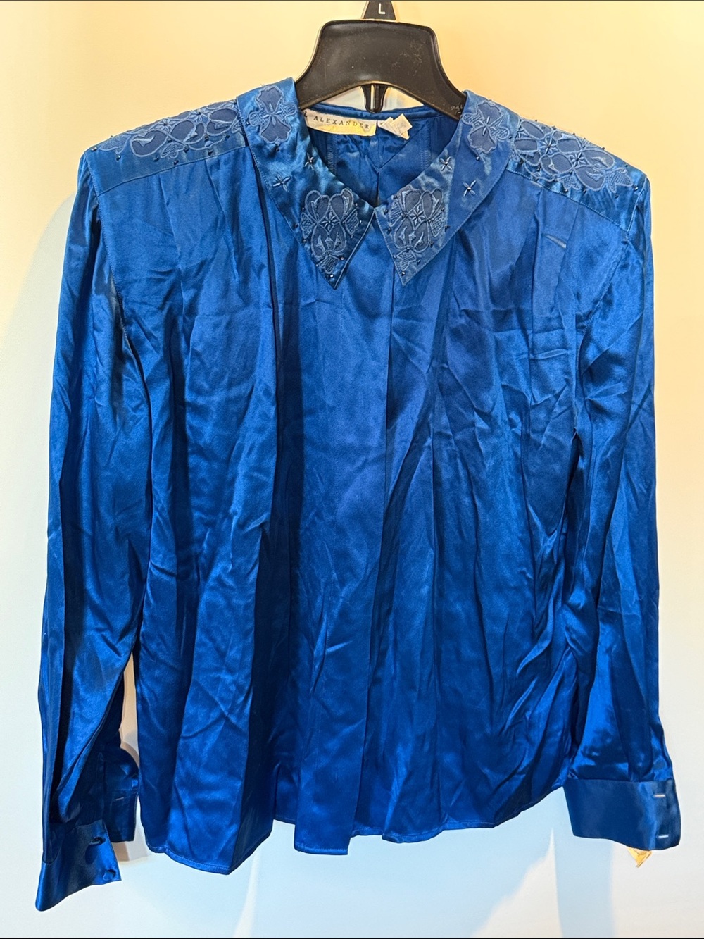 Paul Alexander Silk Embroidered Collar Blue Woman's Blouse Size: 8